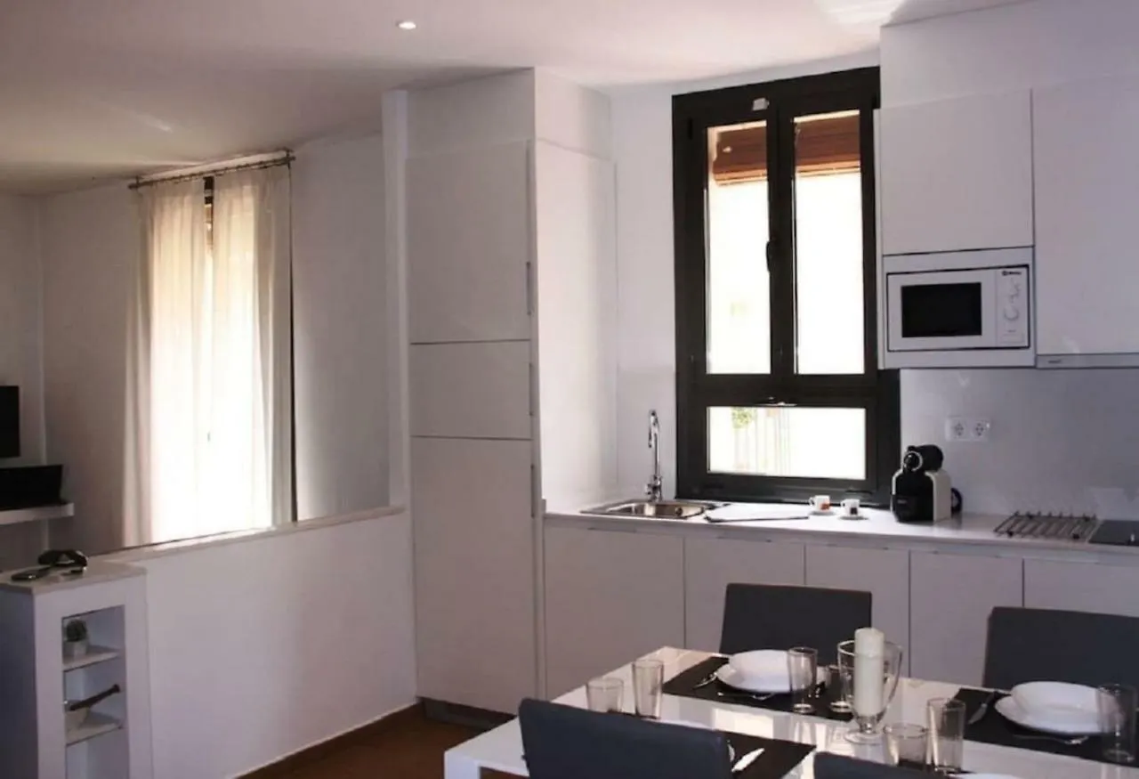 Apartment Homenfun Sants Station Barcelona Spain